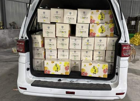 1765203637475091317.png 2.png